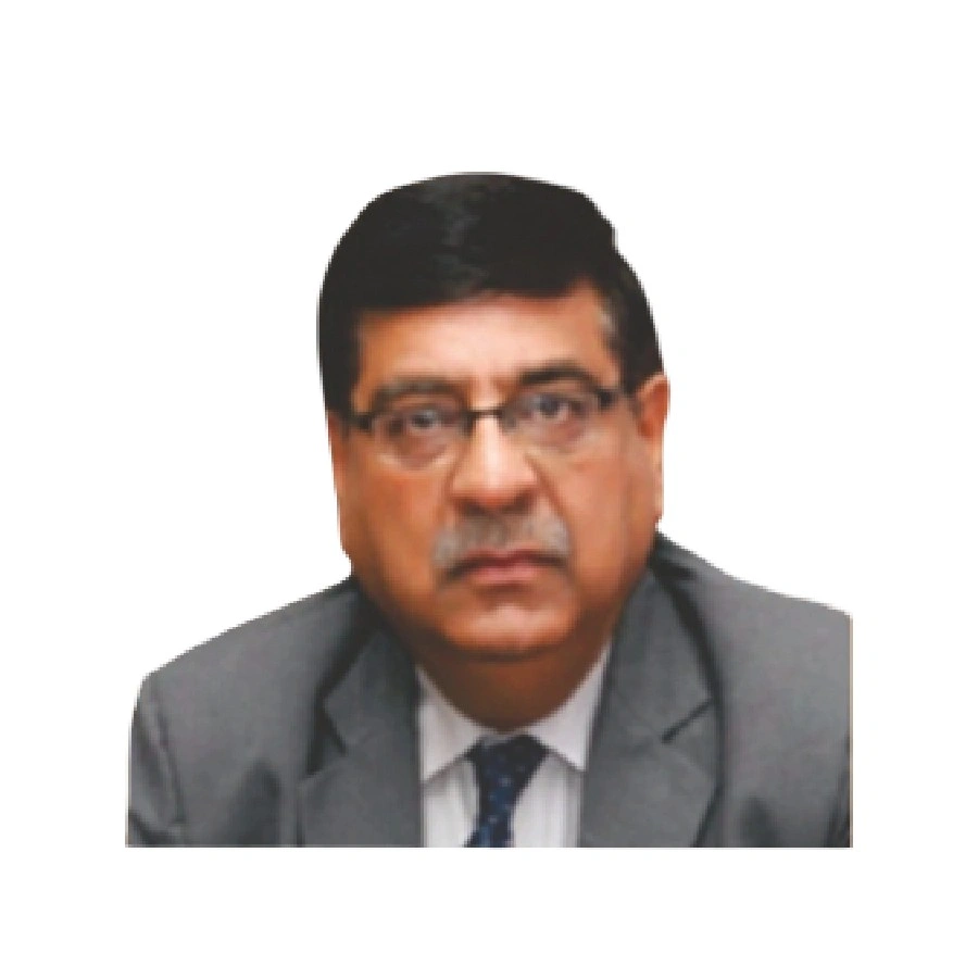 Advisory Council Mentor
